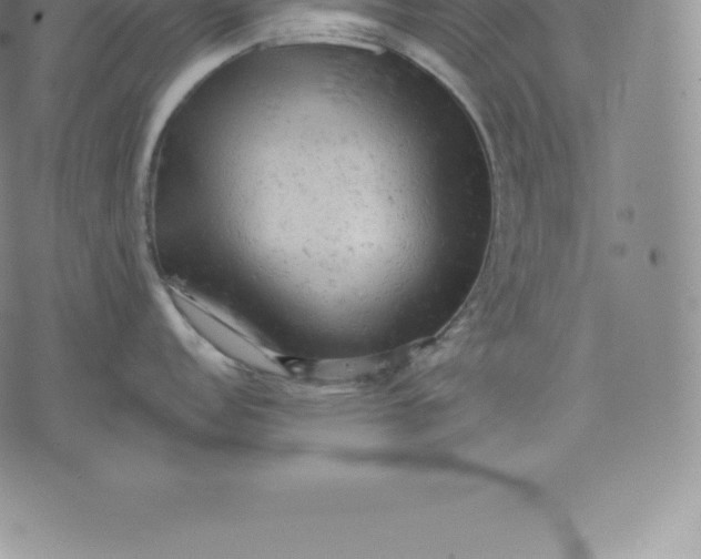 X0000076301152200610161547