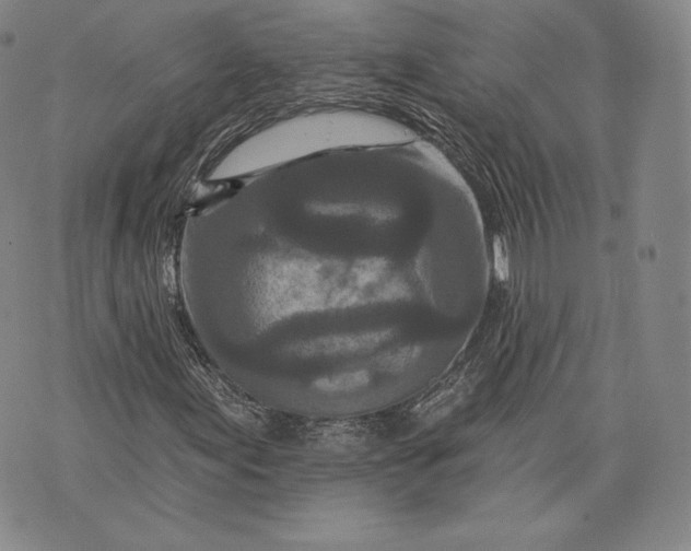 X0000076301155200610161546