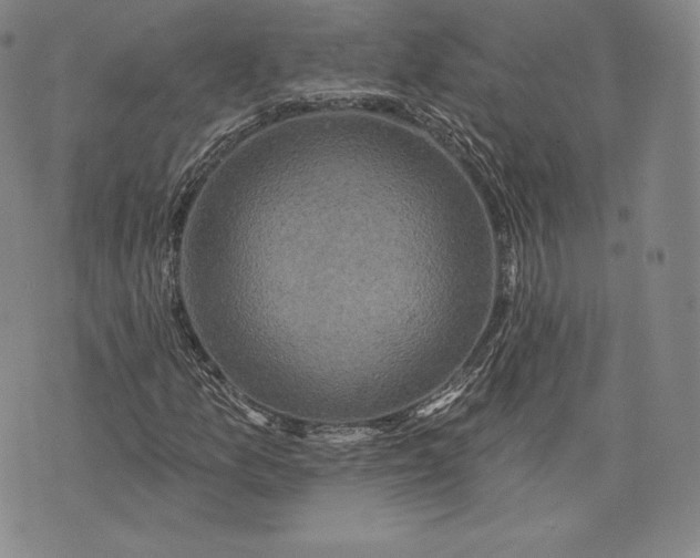 X0000076301157200610161546