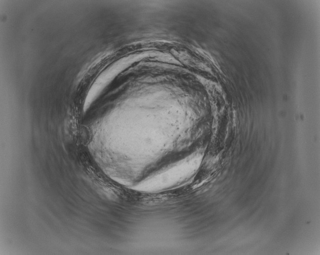 X0000076301159200610161546