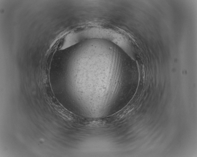 X0000076301160200610161546