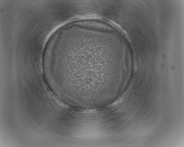 X0000076301174200610161546