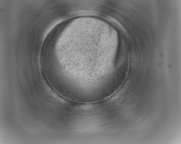 X0000076301182200610161546