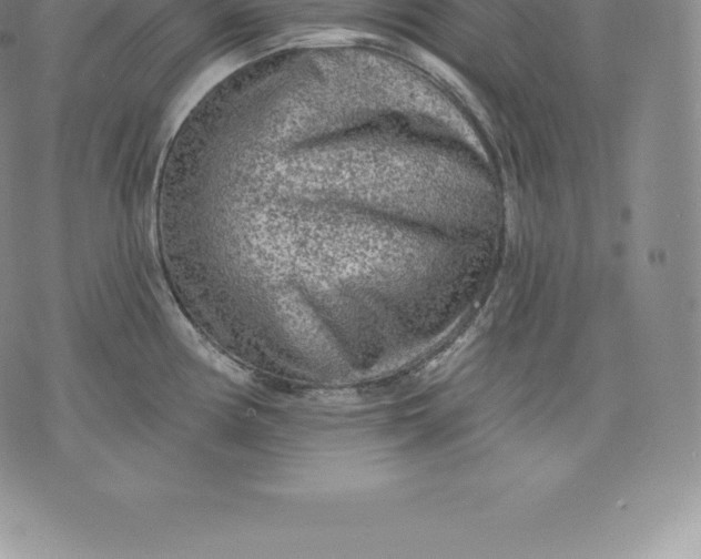 X0000076301194200610161546