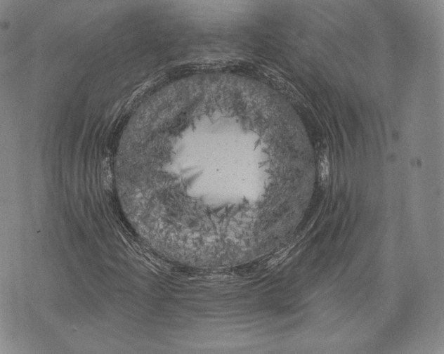 X0000076301204200610161545