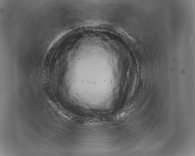 X0000076301208200610161545