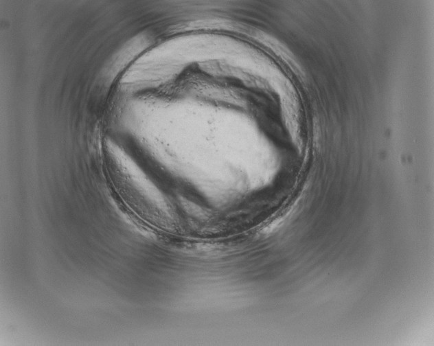 X0000076301241200610161545