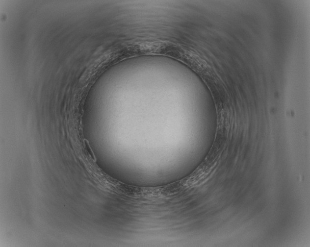 X0000076301249200610161545
