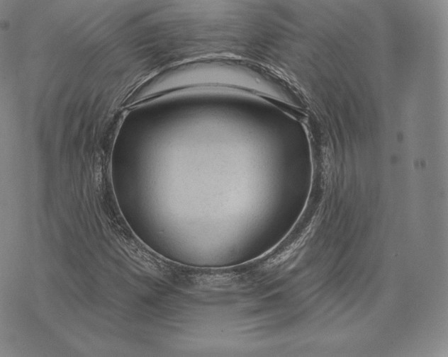X0000076301257200610161545