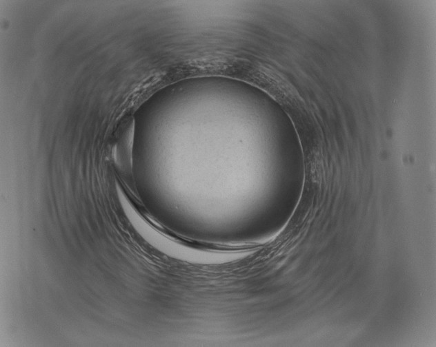X0000076301298200610161543