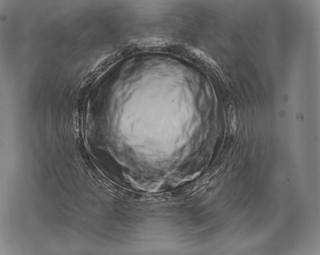 X0000076301301200610161543