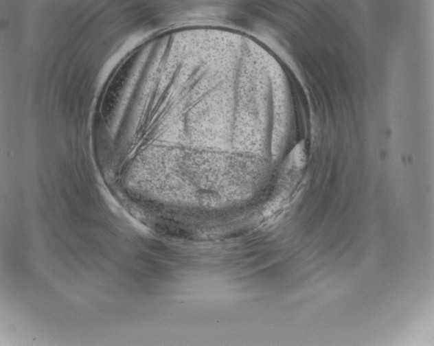 X0000076301341200610161544