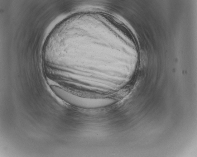 X0000076301437200610161542