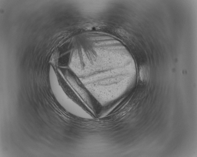 X0000076301444200610161542