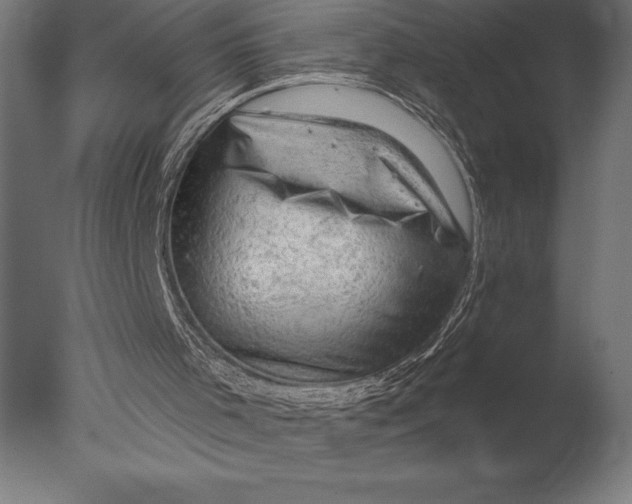 X0000076300001200610201558