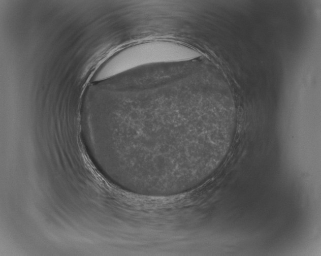 X0000076300002200610201558