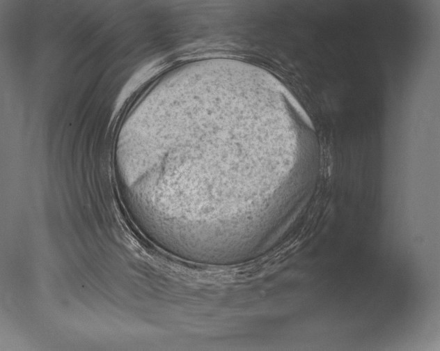 X0000076300004200610201558