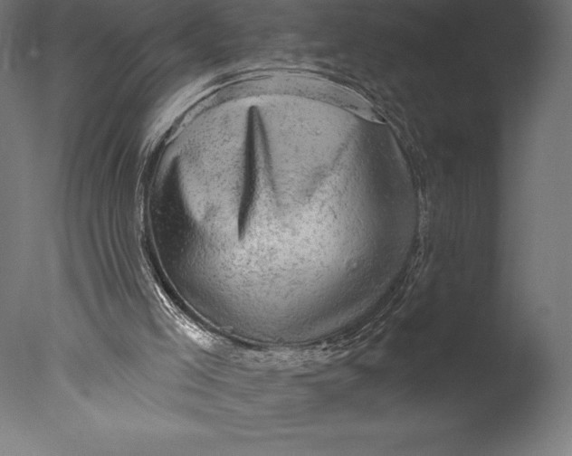 X0000076300005200610201558