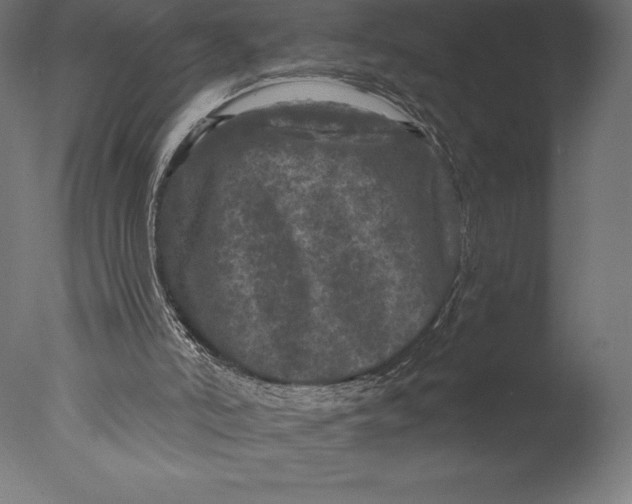 X0000076300006200610201558