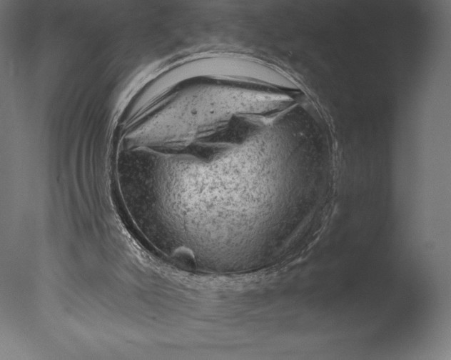 X0000076300007200610201558