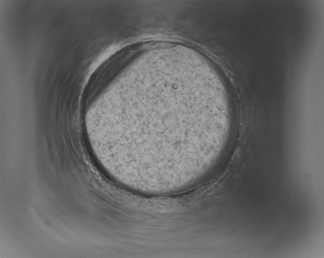 X0000076300008200610201558