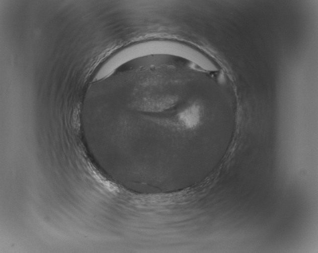 X0000076300009200610201558