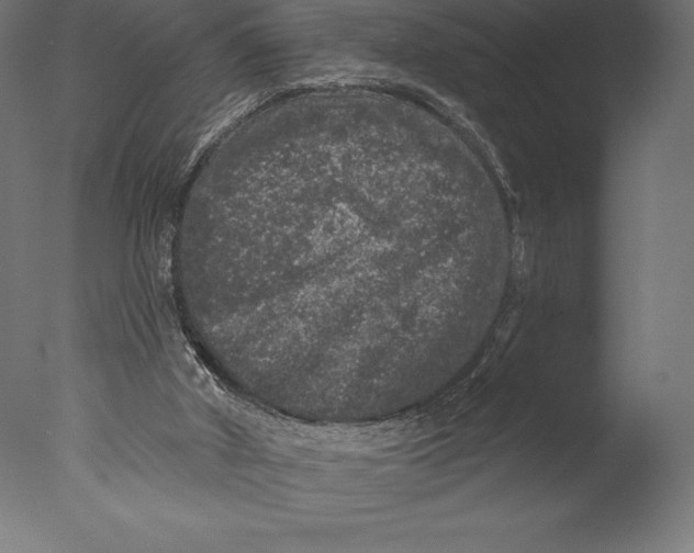 X0000076300010200610201558