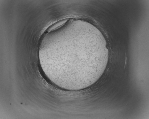 X0000076300011200610201558