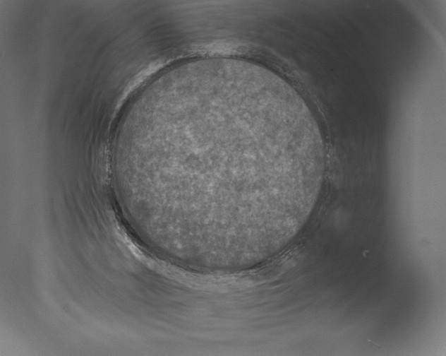 X0000076300012200610201558