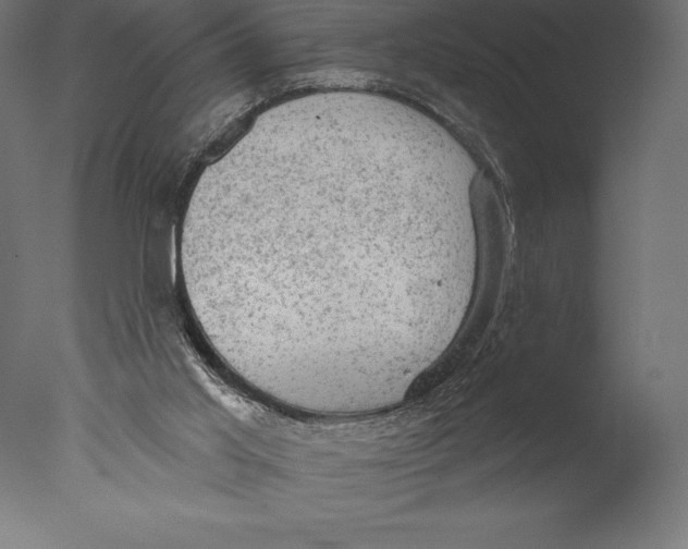 X0000076300013200610201558