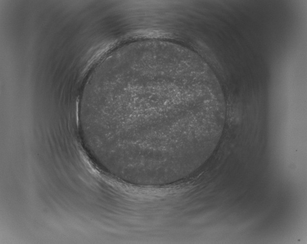 X0000076300014200610201558