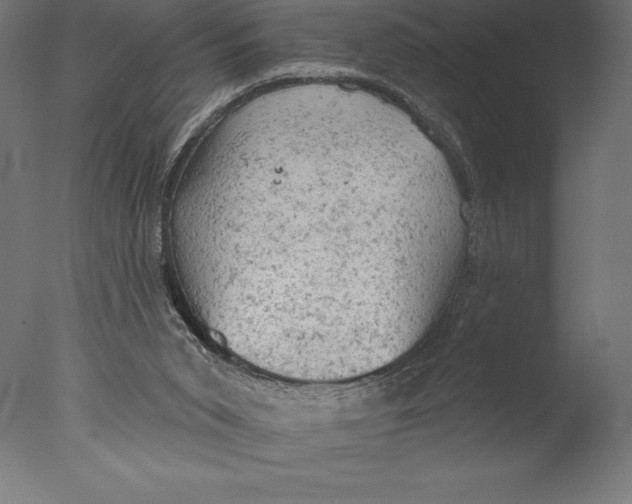 X0000076300015200610201558