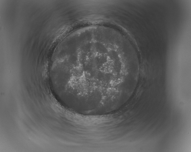 X0000076300018200610201558