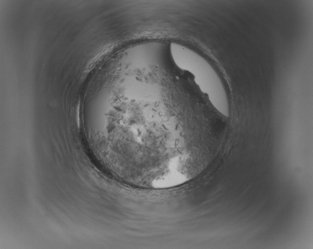 X0000076300019200610201558