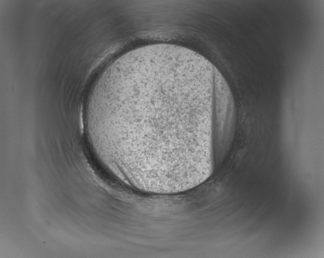 X0000076300020200610201558