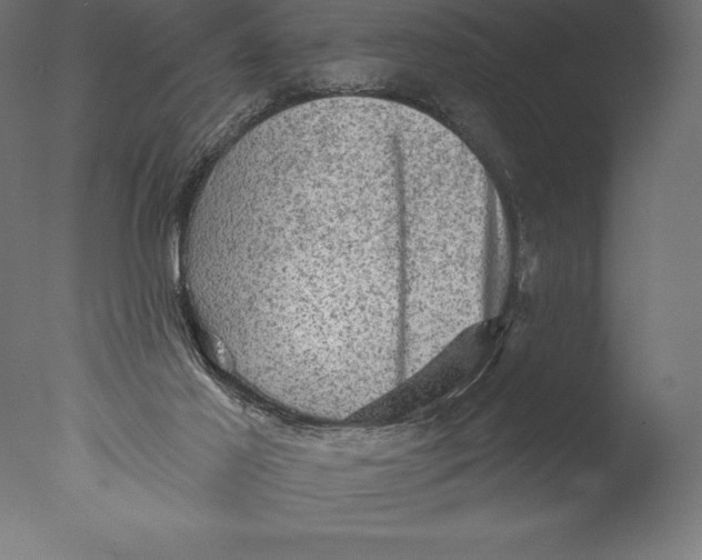 X0000076300021200610201558