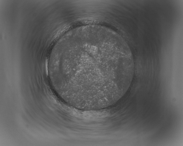 X0000076300022200610201558