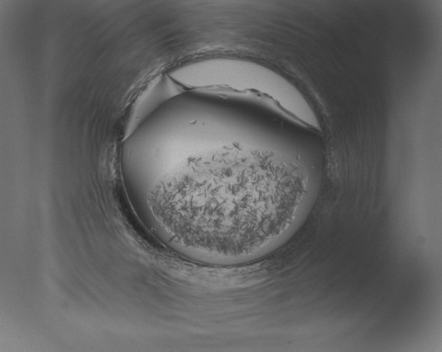 X0000076300023200610201558