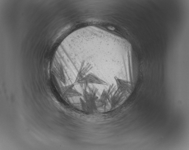 X0000076300024200610201558