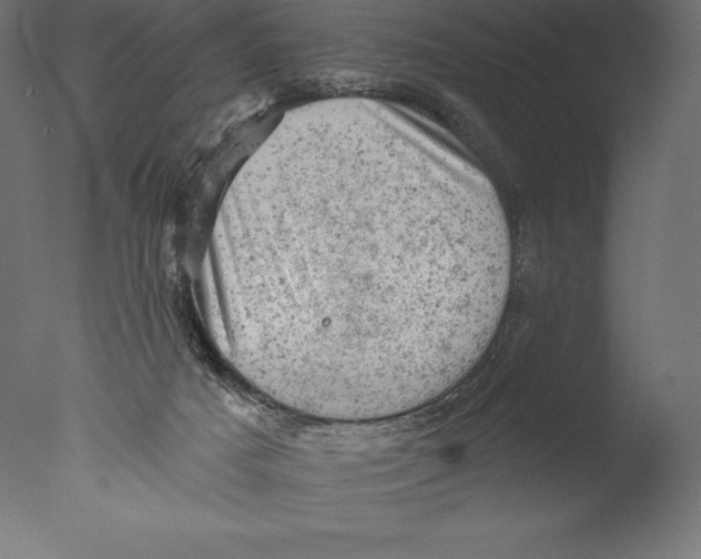 X0000076300025200610201558