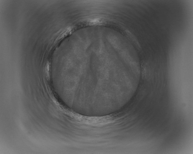 X0000076300026200610201558