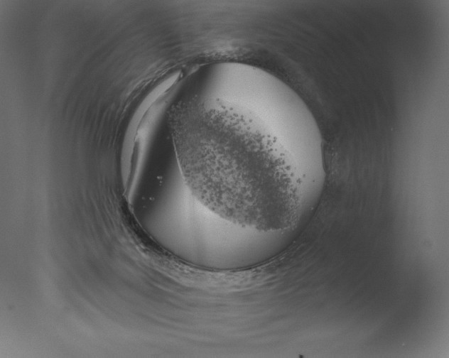 X0000076300027200610201558