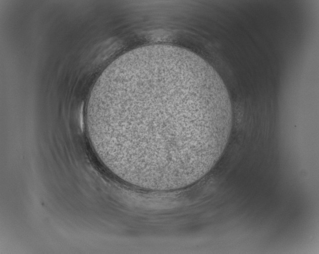 X0000076300028200610201558