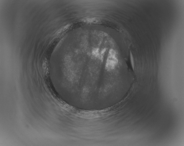 X0000076300029200610201558