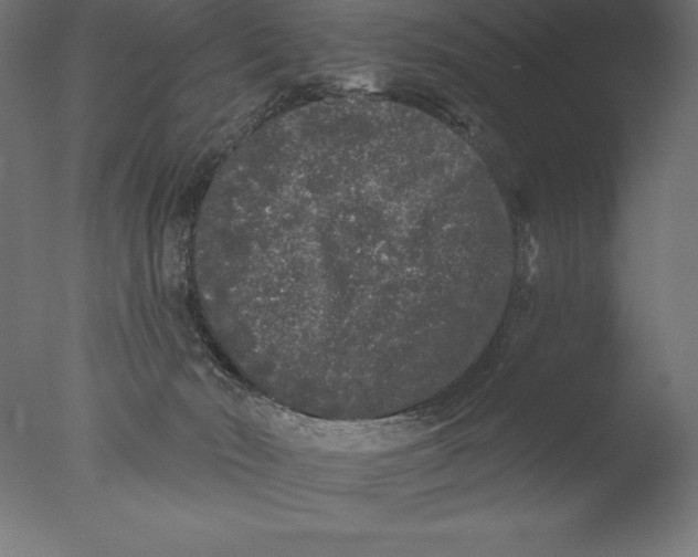 X0000076300030200610201558