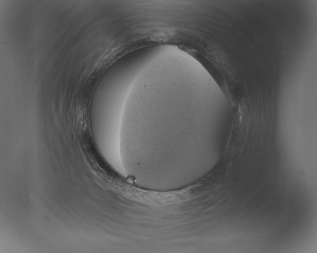 X0000076300031200610201558