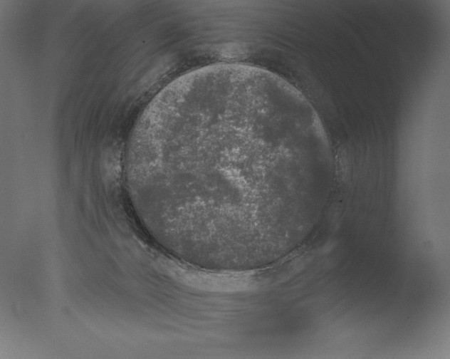 X0000076300032200610201558