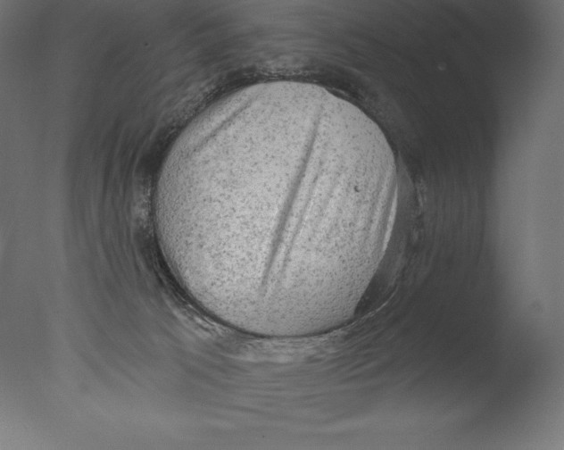 X0000076300033200610201558