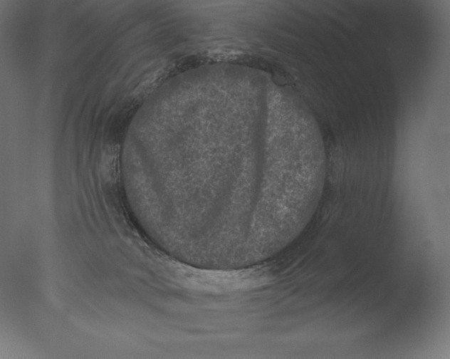 X0000076300034200610201558