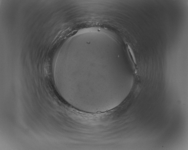 X0000076300035200610201558